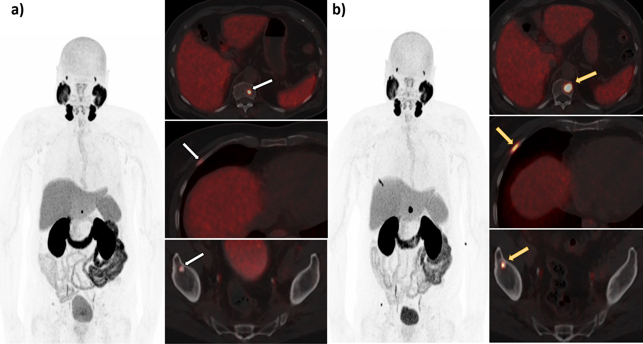 fig0020