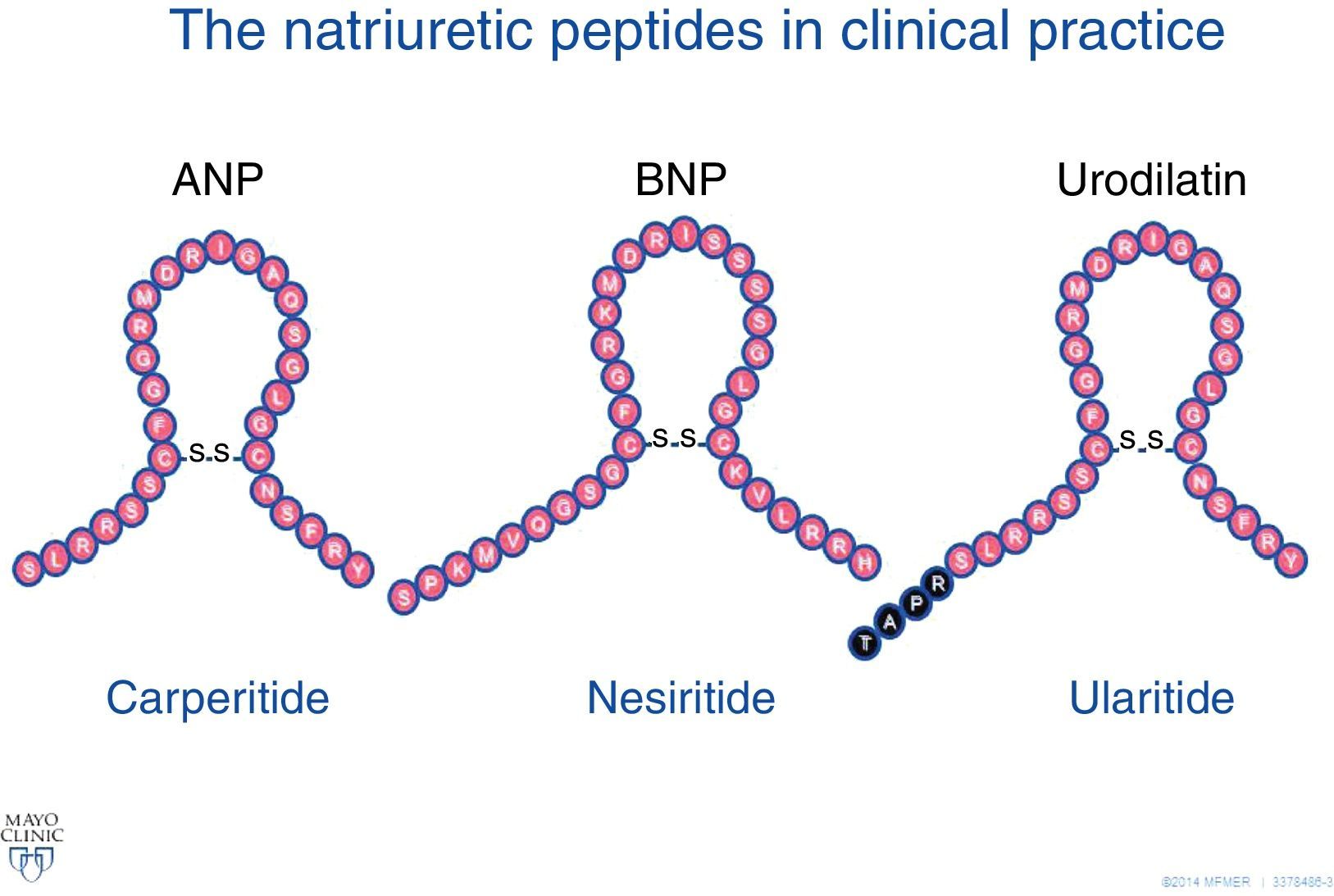 B-type natriuretic peptide and acute heart failure: Fluid homeostasis ...