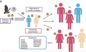 Propagation of 2019-nCoV. There are various hypotheses regarding the virus’ animal-to-human transmission, the strongest of which is the bat origin. Human-to-human transmission has been reported to occur through the respiratory tract, thereby facilitating infection between populations. The symptoms are very common, with fever, cough, muscle pain and respiratory problems, among others.