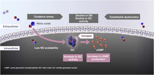 Mechanism of action of vericiguat. Figure adapted from Armstrong et al.,28 Gheorghiade et al.,39 Breitenstein et al.,43 and Follmann et al.44