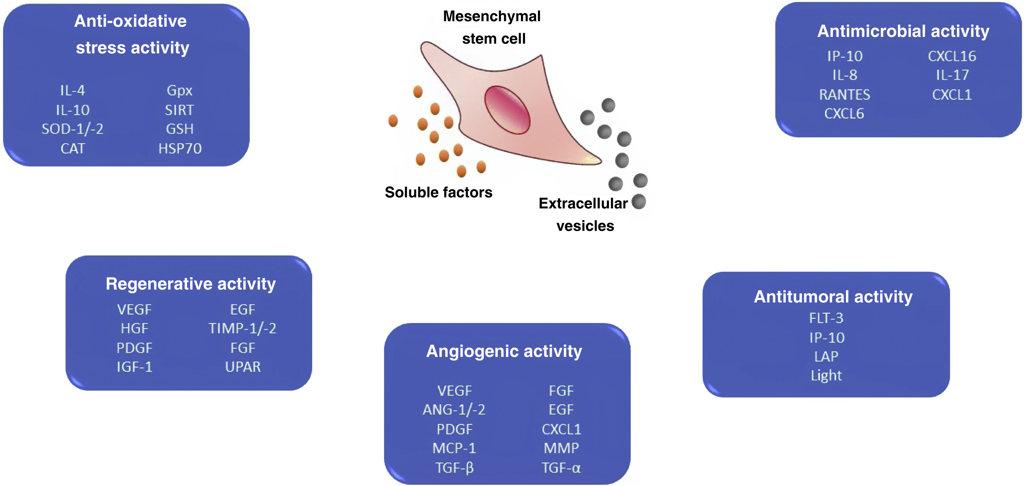 New era of mesenchymal stem cell-based medicine: basis, challenges and ...