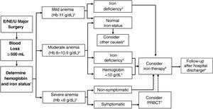 Diagnostic and treatment algorithm for postoperative anemia. Whenever possible, assess iron status within the first 24 h postoperatively if it was not already assessed in the preoperative evaluation (1). In patients without postoperative bleeding, monitor hemoglobin at 24 and 72–96 h after the procedure (1). Assess the presence and severity of anemia according to WHO criteria: Hb <12 g/dL for women, Hb <13 g/dL for men (2). Postoperative iron deficiency is defined by ferritin <100 ng/mL, ferritin <300 ng/mL, and transferrin saturation <20% or reticulocyte hemoglobin <28 pg (3). If there is no iron deficiency, consider other causes (4). Consider iron therapy (6), preferably IV in cases of mild or moderate anemia with iron deficiency (3) or Hb <10 g/dL due to preoperative anemia or abundant surgical bleeding, regardless of iron status (5). In patients with severe postoperative anemia or who decline transfusion, consider adding an ESA to IV iron therapy, although there is little evidence on its use in this context and it must be assessed on a case-by-case basis. In patients with severe symptomatic anemia, consider packed red blood cell transfusion (PRBCT) if the patient consents. Transfuse one unit at a time, with reevaluation of additional needs (7). Consider administering IV iron supplements or sucrosomial iron after transfusion, using the post-transfusion hemoglobin in order to calculate the total iron deficiency (6). Follow-up on the patient after hospital discharge (8).