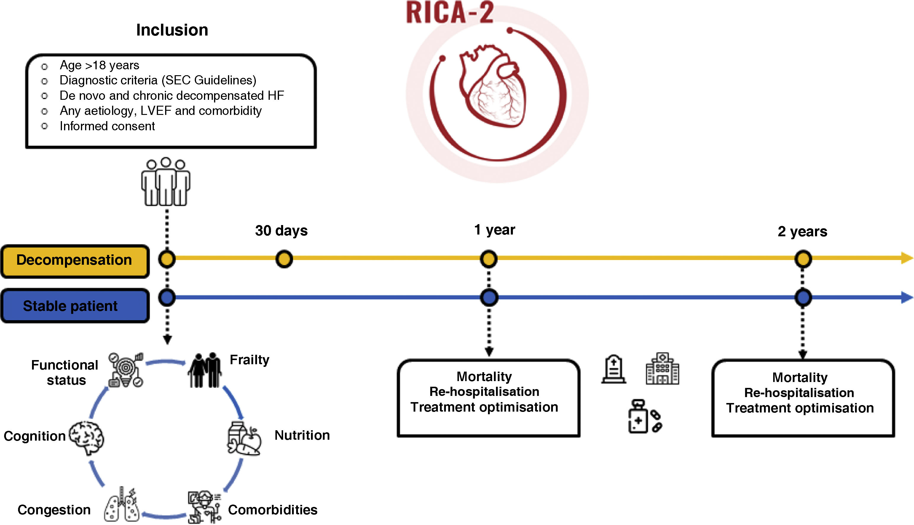 The RICA-2 registry: design and baseline characteristics of the first ...