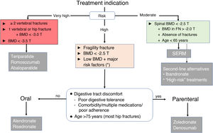 Initial therapeutic management. FN, femoral neck; BMD, bone mineral density; SERM, selective estrogen receptor modulators; T, T-score.