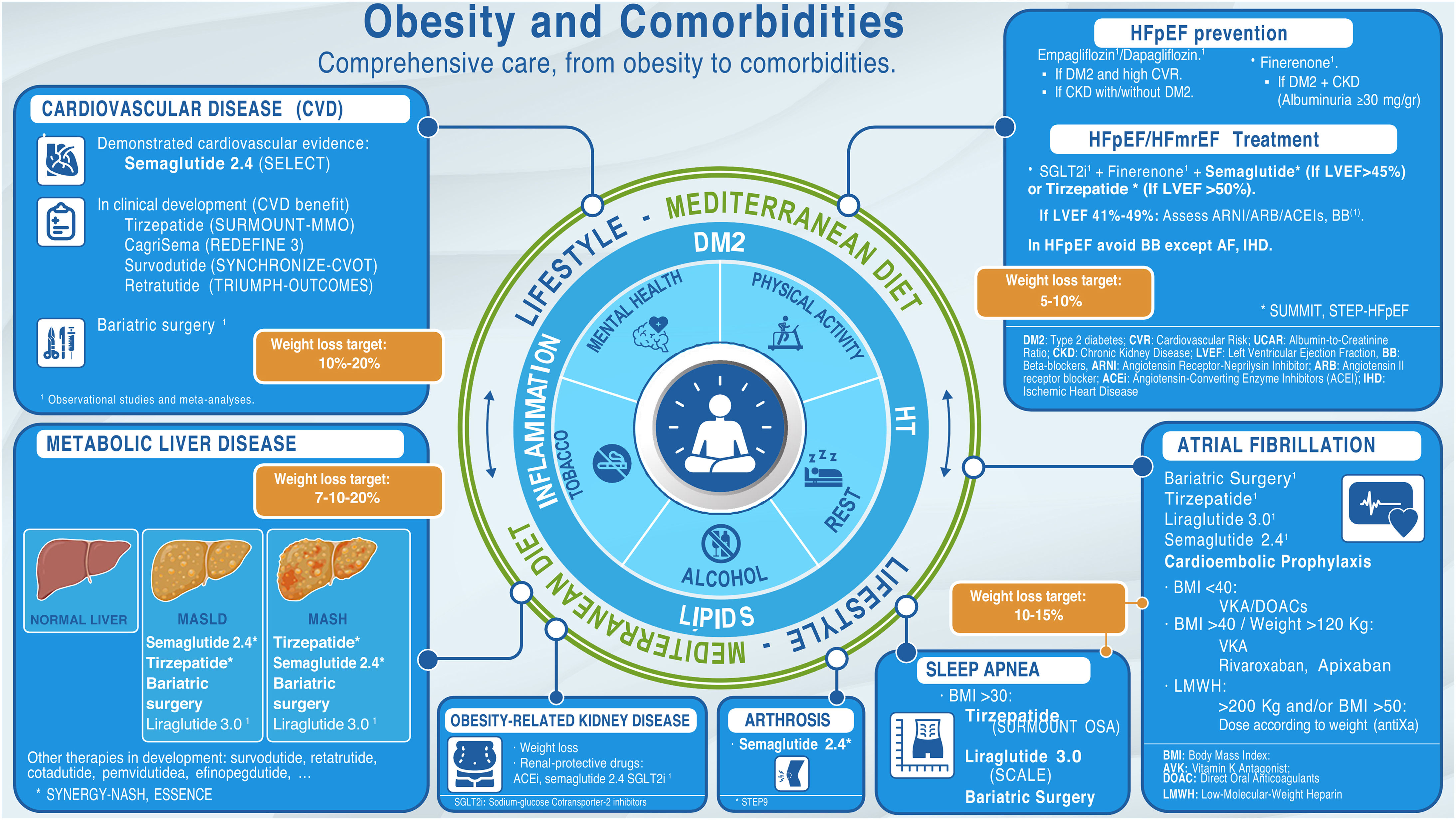 From obesity to comorbidities: a comprehensive care approach for ...
