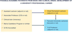 Possible academic itineraries from basic and clinical areas of knowledge. Development of a university professional career.
