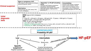 Diagnostic algorithm for HF-pEF. LA: left atrium; DM: diabetes mellitus; ECG: electrocardiogram; TTE: transthoracic echocardiogram; CKD: chronic kidney disease; AF: atrial fibrillation; HR: heart rate; LVEF: left ventricular ejection fraction; AHT: arterial hypertension; LVH: left ventricular hypertrophy; HF-pEF: heart failure with preserved ejection fraction; LAVI: left atrial volume index; sPAP: systolic pulmonary artery pressure; NP: natriuretic peptide; SR: sinus rhythm; RWT: relative wall thickness; IVS: interventricular septum; TRV: tricuspid regurgitation velocity; LV: left ventricle. Figure generated from Refs. 10,11,13,14,34,37,40,41.
