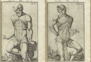 Láminas anatómicas originales de Casseri. Páginas 22 y 24.