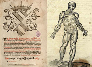 Portada de la obra anatómica de Bernardino Montaña de Monserrate (1551) y lámina primera copiada de Vesalio.