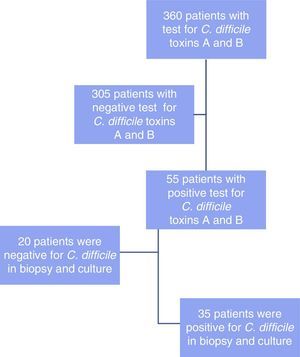 Study flow chart.