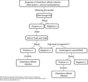 Diagnostic algorithm for confirming Clostridium difficile infection Adapted from Meyer et al.21.