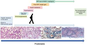 Factors associated with the recurrence of NASH or de novo NASH.