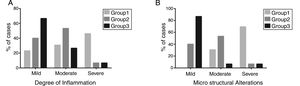 Analysis of the degree of inflammation and microstructural alterations. A) Degree of inflammation. B) Microstructural changes. A significant decrease in the level of inflammation, as well as restoration of the anatomic integrity, were shown in the groups treated with pluripotent stem cells.