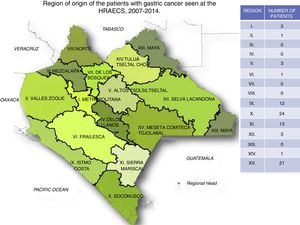 Region of origin of the patients with gastric cancer seen at the HRAECS, 2007-2014.