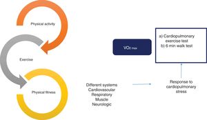 Effect and evaluation of the interrelation between physical activity, exercise, and physical fitness. There is a close relation between physical activity, exercise, and physical fitness that constitutes a continuum with an impact on multiple systems of the organism, with the cardiovascular, respiratory, muscle, and neurologic systems among the most important. That effect is usually evaluated through the response to cardiopulmonary stress, utilizing different methods, such as the cardiopulmonary exercise test and the 6min walk test. Finally, maximum oxygen intake (VO2max) is the most widely studied objective parameter in relation to physical fitness.
