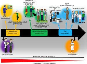 General diagram of the exercise and nutrition intervention in patients with cirrhosis throughout the course of the disease. Increased physical activity is recommended throughout the course of the disease in patients with cirrhosis, even though the complexity of the exercise must be adjusted to the stage of the disease and the complications present at the time of evaluation. The exercise plan should include educating the patients as to its benefits and how to perform it, as well as adequate nutrition, which can require the use of supplements, such as the branched-chain amino acids (BCAAs). Finally, to achieve the goals of such a program, the participation of different specialists, including physicians, nutritionists, and physical activity experts, to adjust the program in accordance with disease stage.