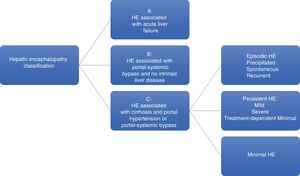 Hepatic encephalopathy (HE) classification. Persistent hepatic encephalopathy (PHE) starts from grade II of the West Haven classification, and its severity depends on a higher grade of said classification. Minimal hepatic encephalopathy (MHE) is characterized by mild cognitive alterations that are only detectable through psychometric tests and is considered as such when the patient presents with grade I of the West Haven classification.