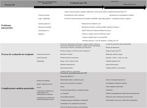 Pretransplant phases: medical care, protocol evaluation, and psychosocial issues in potential liver transplantation candidates. LT: liver transplantation.