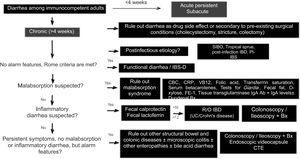 Diagnostic algorithm for chronic diarrhea. Bx: biopsies; CBC: complete blood count; CTE: computed tomography enterography; FE-1: fecal elastase-1; hsCRP: high-sensitivity C-reactive protein; IBD: inflammatory bowel disease; PI-IBS: postinfectious irritable bowel syndrome; R/O: rule out; SIBO: small intestinal bacterial overgrowth; UC: ulcerative colitis.