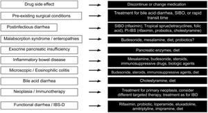 Therapeutic options in chronic diarrhea, according to cause. IBD: inflammatory bowel disease; PI-IBS: postinfectious irritable bowel syndrome; SIBO: small intestinal bacterial overgrowth.