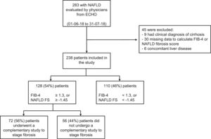 Description of the study population, within the time frame of June 1 and July 31, 2018. ECHO: Extension for Community Healthcare Outcomes; NAFLD: nonalcoholic fatty liver disease; NAFLD FS: nonalcoholic fatty liver disease fibrosis score.