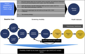 Markov decision model. ECLAC: Economic Commission for Latin America and the Caribbean; EGD: esophagogastroduodenoscopy; ESD: endoscopic submucosal dissection; GAC: gastric adenocarcinoma; IM: intestinal metaplasia; UN: United Nations.