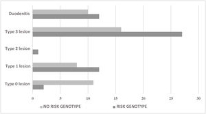Classification of the lesions from the intestinal biopsy of the individuals with and without the HLA-DQB1 risk genotype. Type 0 lesion: normal mucosa; type 1 lesion: infiltrative lesion; type 2 lesion: hyperplastic lesion; type 3 lesion: destructive lesion (villous atrophy).