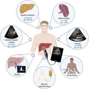 Applications of POCUS in hepatology.