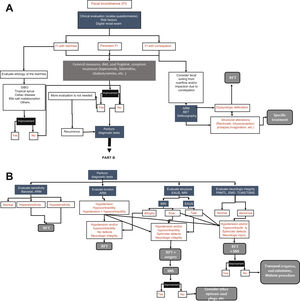 Diagnostic algorithm for fecal incontinence. A) Initial approach and management proposed for all patients with fecal incontinence (FI). ARM: anorectal manometry; BET: balloon expulsion test; BFT: biofeedback therapy; SIBO: small intestinal bacterial overgrowth. B) Diagnostic tests. There is no one single test, but rather the tests are complementary. EAUS: endoanal ultrasound; EMG: electromyography; MRI: magnetic resonance imaging; PNMTL: pudendal nerve motor terminal latency; SNS: sacral neurostimulation; TLMS/TSMS: translumbar and transsacral magnetic stimulation.