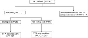 Flow of patients included in the study.