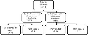 Study groups, according to the presence and grade of POPF.