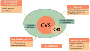Possible pathophysiologic mechanisms of CVS. Current data suggest that CVS is explained by a combination of genetic and host factors that lead to emesis. CHS is thought to be a subset of CVS and can be explained by the development of symptoms in genetically predisposed individuals. CHS: cannabinoid hyperemesis syndrome; CVS: cyclic vomiting syndrome; ECSS: endocannabinoid signaling system; HPA: hypothalamic-pituitary-adrenal. * Figure adapted from reference.67