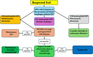 Diagnostic and treatment algorithm for eosinophilic esophagitis. EoE: eosinophilic esophagitis; EGD: esophagogastroduodenoscopy; PPI: proton pump inhibitor.