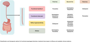 Esophageal disorders. Classification and therapeutic options for functional esophageal disorders, treatment lines based on efficacy and available clinical evidence.