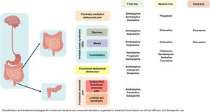 Intestinal and anorectal disorders. Classification and treatment strategies for functional intestinal and anorectal disorders, organized in treatment lines based on clinical efficacy and therapeutic use.