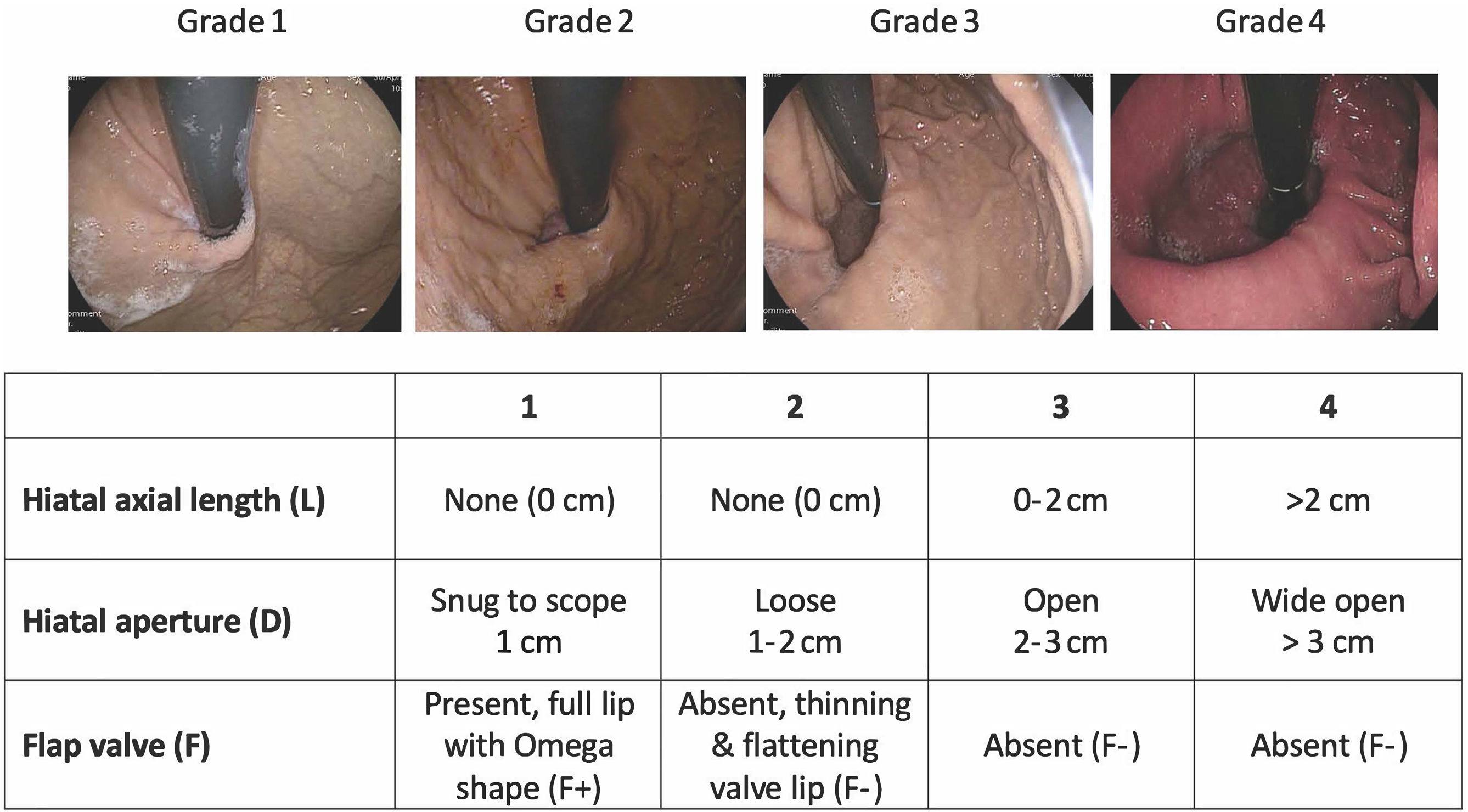 fig0005
