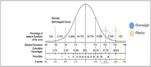2006 World Health Organization breakdown of Z scores and corresponding percentiles in a normal study distribution.