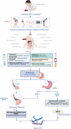 Algorithm for the approach to and treatment of acute variceal bleeding.