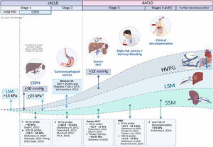 Usefulness of liver and splenic elastography in portal pressure evaluation. cACLD: compensated advanced chronic liver disease; dACLD: decompensated advanced chronic liver disease; PHT: portal hypertension; CSPH: clinically significant portal hypertension; LSM: liver stiffness measurement; HVPG: hepatic venous pressure gradient; SSM: spleen stiffness measurement.