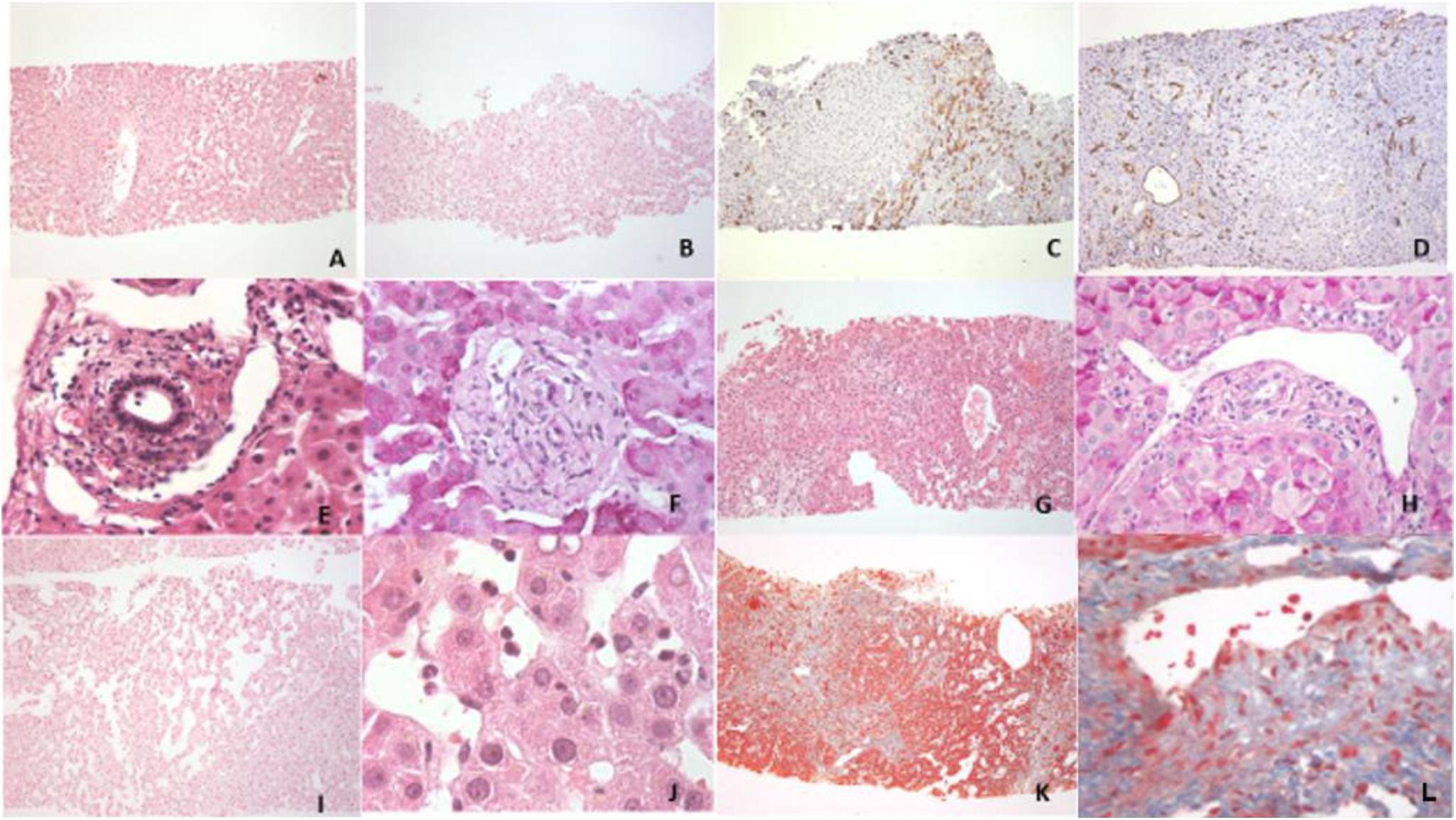fig0010