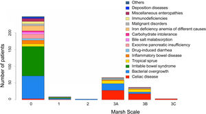 Duodenal biopsy (by Marsh-Oberhuber classification) in relation to the final diagnosis. Source: Original figure of our own authorship.
