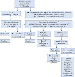 Evaluation and management of acute kidney injury in patients with cirrhosis65,66 AIN: acute interstitial nephritis; AKI: acute kidney injury; ELISA: enzyme-linked immunosorbent assay; ATN: acute tubular necrosis; HRS: hepatorenal syndrome; US, ultrasound. * Withdraw diuretics, nonselective beta-blockers, nonsteroidal anti-inflammatory drugs, and other nephrotoxic agents. Treat infections. Restore intravascular volume. & The best cutoff values for neutrophilic gelatinase-associated lipocalin (NGAL) to differentiate between ATN and other types of AKI, including HRS-AKI, are 365 ng/ml and 220 μg/g of creatinine for the ELISA and particle-enhanced turbidimetry techniques, respectively. Fractional excretion of sodium (FENa) < 1% can suggest HRS. Modified from Flamm et al.66 and Biggins et al.67