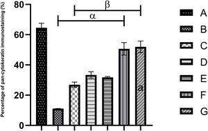 Percentage of the area of pan-cytokeratin immunoreactivity of Wistar rats exposed to HgCl2 toxicity. Each bar represents the mean ± SEM. The bar with the symbol (α) is significantly different from the group A rats, the group with the lowercase letter (a) is not significantly different from the group A rats, and the bar with the symbol (β) is significantly different from the group B rats, using the one-way ANOVA and the Tukey test at p < 0.05.