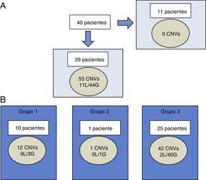 Caracterização das CNVs maiores do que 400 Kb na coorte chilena. A, não foram encontradas CNVs em 11 de 40 pacientes. Nos 29 pacientes restantes, foram encontradas 55 CNVs (11 perdas e 44 ganhos). B, cada paciente poderá ter CNV de mais um grupo ao mesmo tempo. As CNVs foram categorizadas por relevância clínica como CNV de relevância clínica clara (grupo 1), CNV de relevância incerta (grupo 2) ou CNV benigna ou polimórfica (grupo 3). CNVs: variantes do número de cópias; G: ganhos; L: perdas.