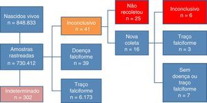 Número de nascidos vivos, amostras triadas e respectivos diagnósticos do PTN‐SES/SC de janeiro de 2003 a dezembro de 2012.
