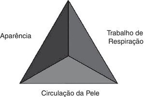 Triângulo de Avaliação Pediátrica.