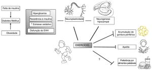 A prática de exercícios pode agir em vulnerabilidades específicas que indivíduos com RCIU têm, como seu aumento do risco de desenvolvimento de diabetes tipo II e adiposidade, bem como disfunção do eixo hipotálamo‐hipófise (EHH). Além disso, a prática de exercícios atua em várias áreas e processos do cérebro, como aumento da neurogênese e neuroplasticidade e, portanto, influencia o comportamento. Adaptado e modificado de Yi.96