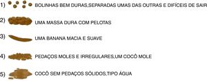 Versão final da mBSFS‐C em português (Brasil).
