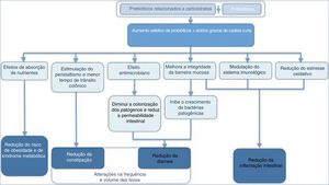 Mecanismo de ação dos prebióticos + probióticos relacionados a carboidratos e seus efeitos na saúde humana. Modificado de: Nath et al.48 e Markowiak et al.49