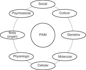 Pain, a sensation affected by social, cultural, genetic, molecular, cellular, physiological, physical and psychological factors, all of them inter-related, is a multi-disciplinary area.